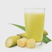 Sugarcane