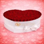 Red Elegance 101 Roses Box