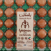 Free Range Brown Eggs 30 Pcs Natural Feed Yasmin Farms