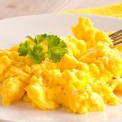 Fried Egg