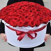 For My Sweet Wife      VLN-09