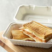 Turkey Toastie Sandwich
