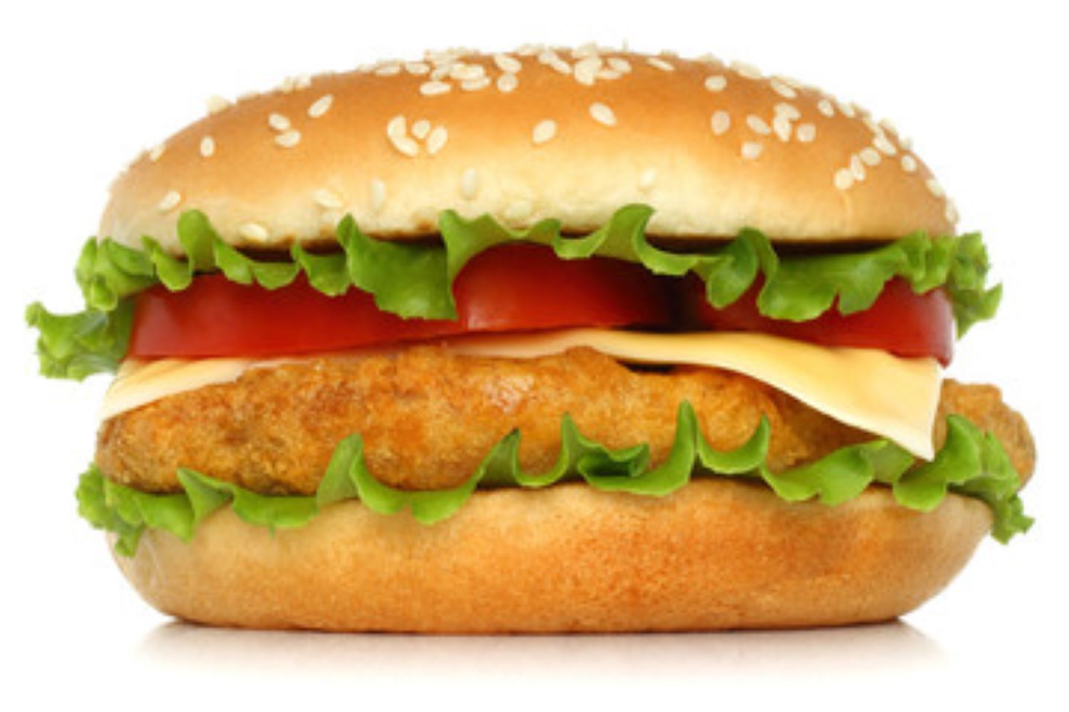 Plain Chicken Burger