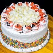 VANILLA CAKE 9 (8 PERSON)
