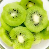 Kiwi Bricks