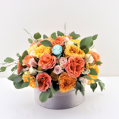 Box Arrangement 0023