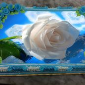 Medium Picture Torte