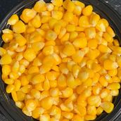 Bucket Sweet Corn