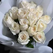 20 White Roses Bouquet
