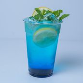 Blueberry Dessert