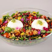 Burrata Salad Medium Size