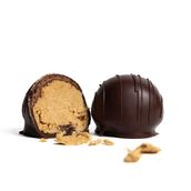 Lotus Protein Bites