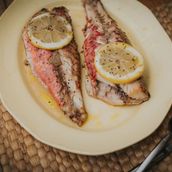Red Mullet