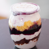 Creamy Blueberry Delight