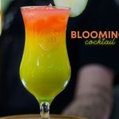 Blooming cocktail 