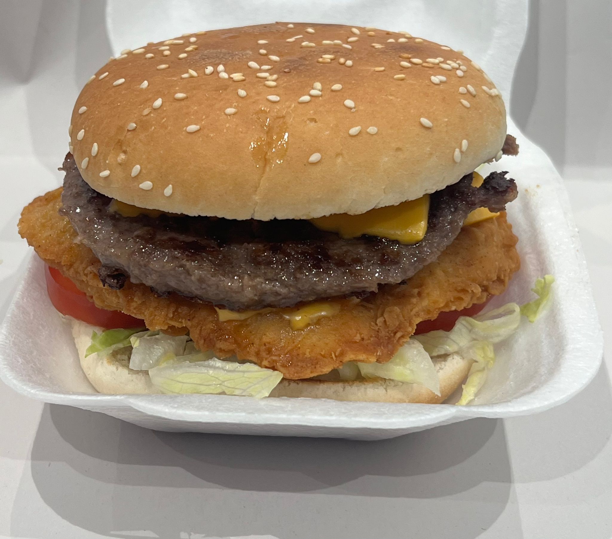 Fusion Burger