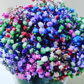 Rainbow Stars Bouquet