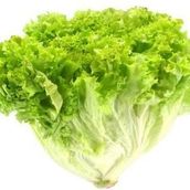 Lettuce