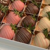 Fancy treat 20pcs
