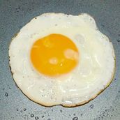 Half Egg Fry