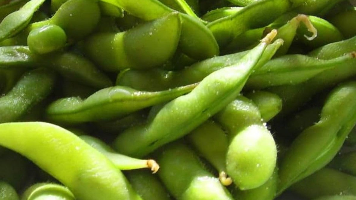 1 Edamame 毛豆 V