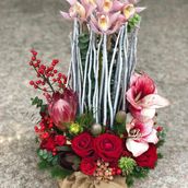 Arrangement 8