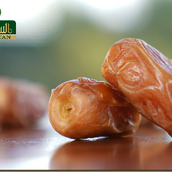 Sagai Dates Premium