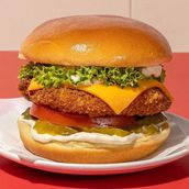 Classic Fried Chicken Burger