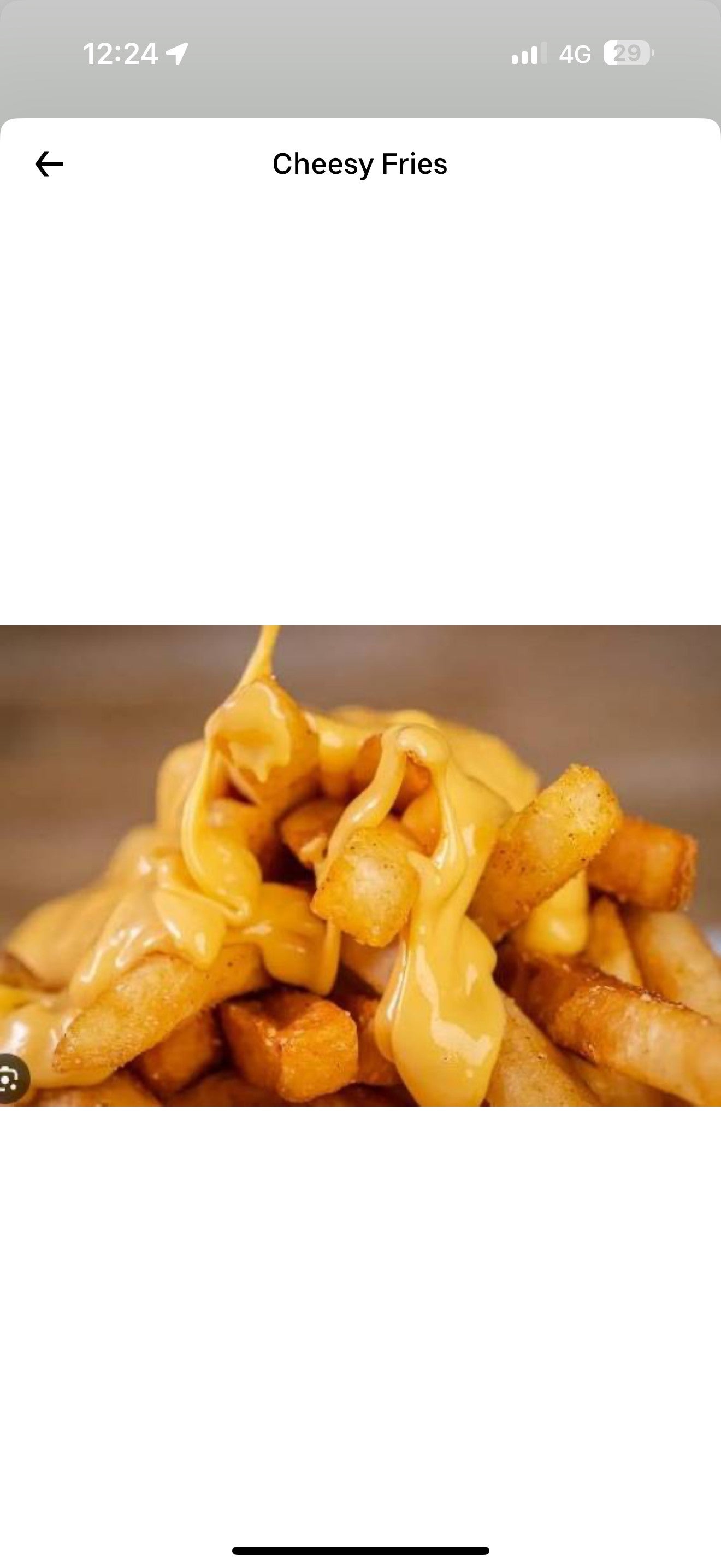 Cheesy Fries