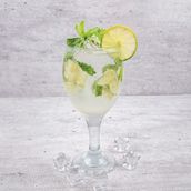 classic mojito