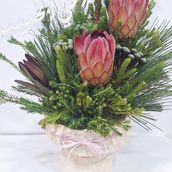 Graceful Garden 00011