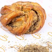 TDL STYLE BUN ZAATER