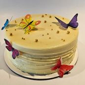 Butterfly Bento Cake ( Colourful)