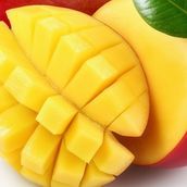 Mango Bricks