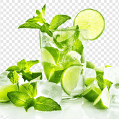 Lemon Mint Juice