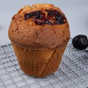 Blueberry Muffin