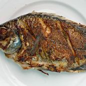 Fried Tilapia