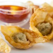 Chicken Fried Wonton