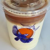 Iced Latte