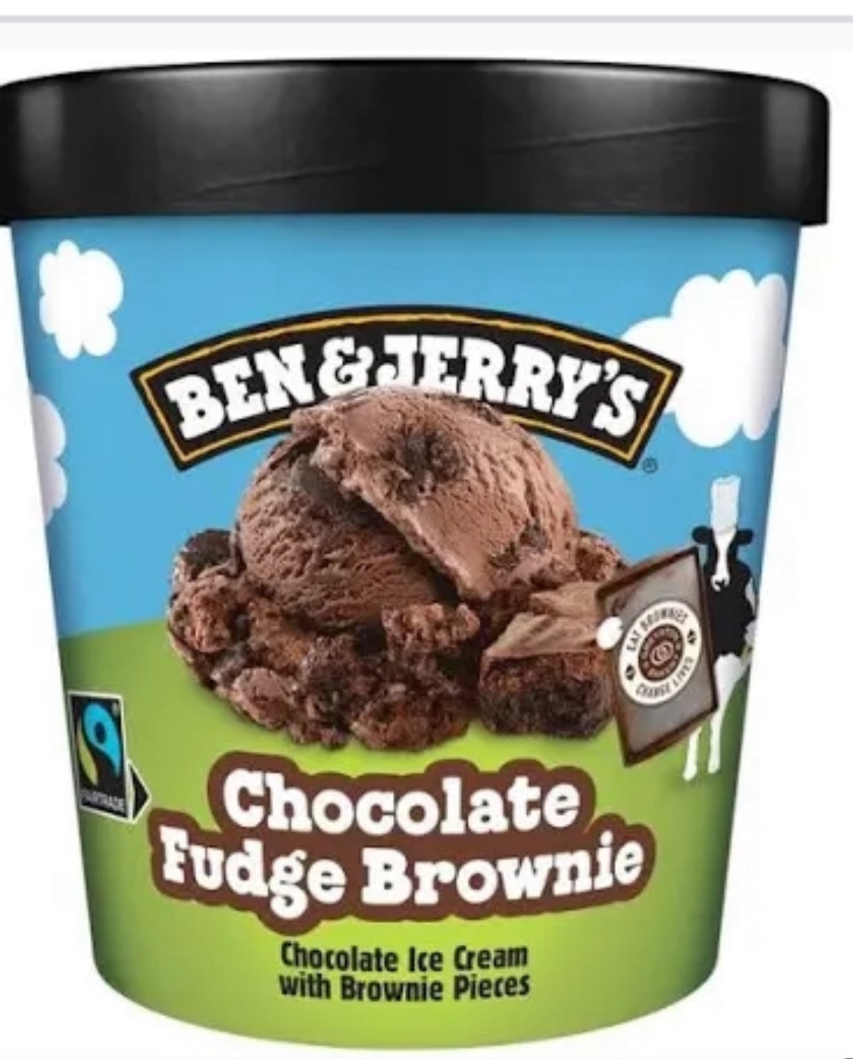 Ben & Jerry's Chocolate Fudge Brownie