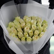 Beautiful White