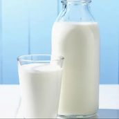 Yogurt Drink Ayran