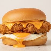 Egg And Chicken
