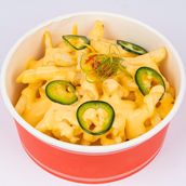 Cheesy Fries