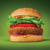 VEG CRISPY BURGER