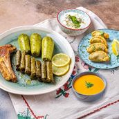 The Levantine Bundle for 1