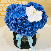 Blue Hydrangea With Orchid Phalaenopsis