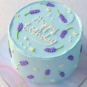 Birthday Cake 19