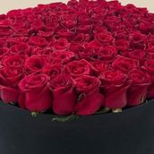 Red roses box bouquet