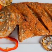 kilo Shaarii Fish